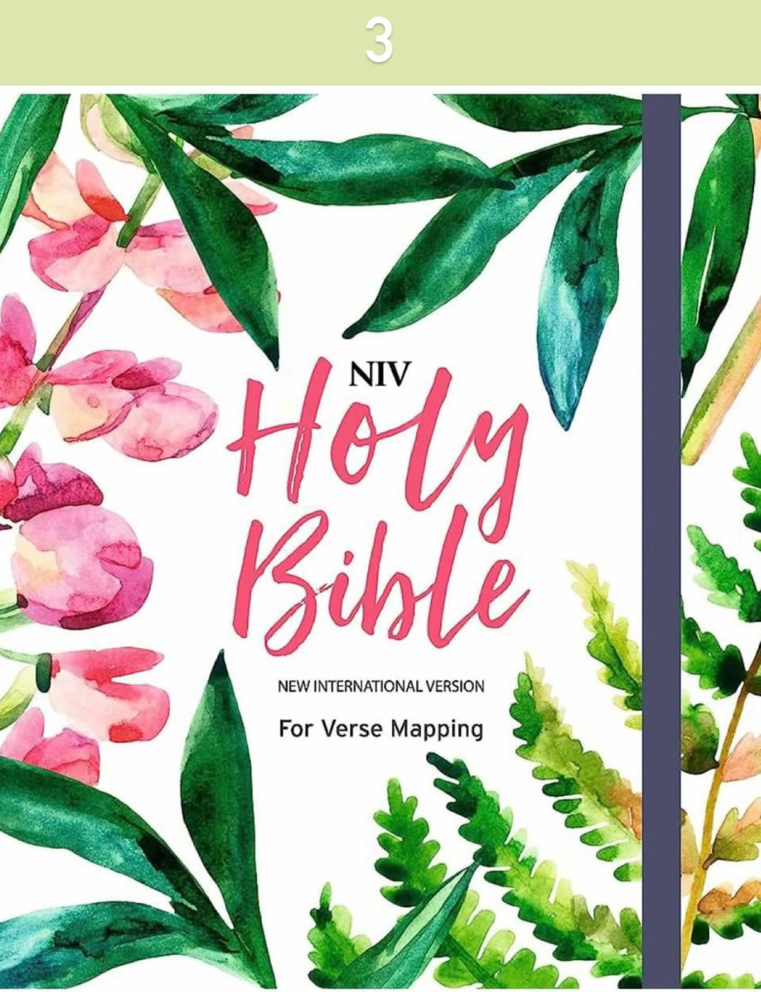 Bible Tabs & NIV Verse-Mapping Bible